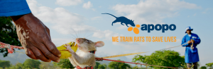 APOPO - We train rats to save lives